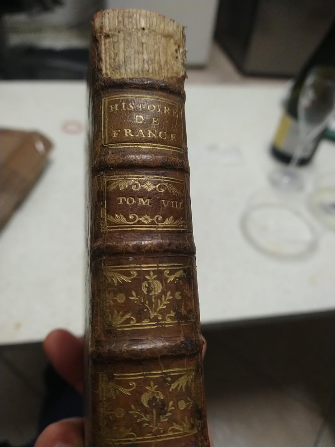 Spine View